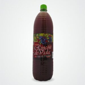 Jugo de Arándanos Rincón de Vida