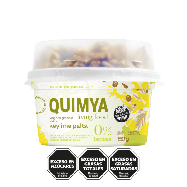 YOG SABOR KEYLIME PALTA CON GRANOLA