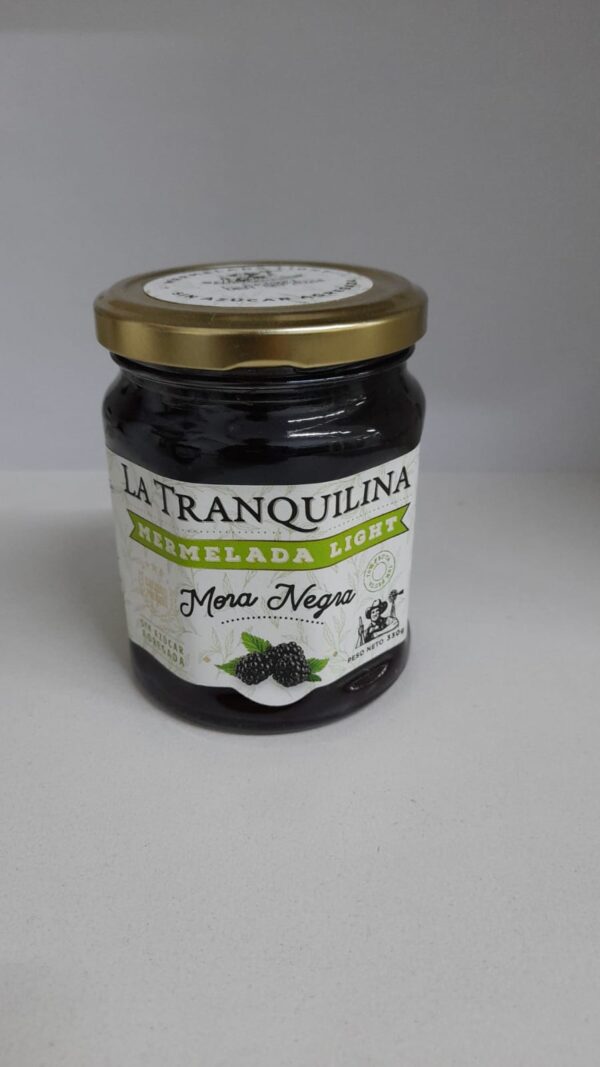 Mermelada de Mora Negra Light Sin Azúcar con Stevia