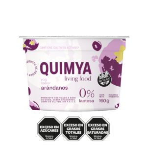 YOG SABOR ARÁNDANOS