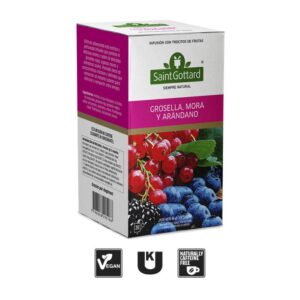 GROSELLA, MORA Y ARÁNDANO EN SAQUITOS