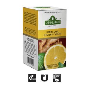 LIMÓN, LIMA, JENGIBRE Y MENTA EN SAQUITOS